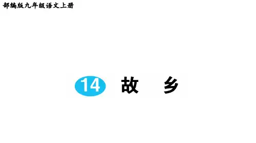 部编版九年级语文上册第14课《故乡》课后练习题(附答案解析)
