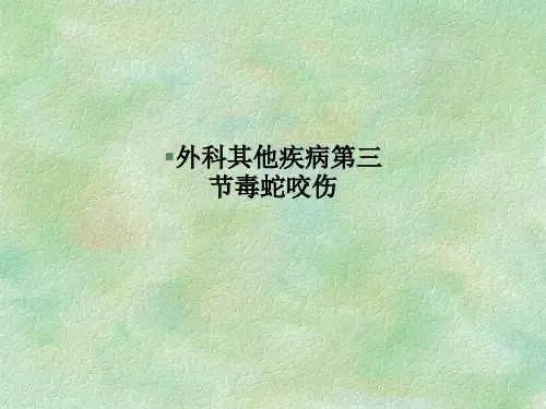 外科其他疾病第三节毒蛇咬伤