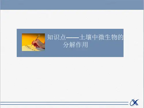 知识点-土壤中的微生物的分解作用