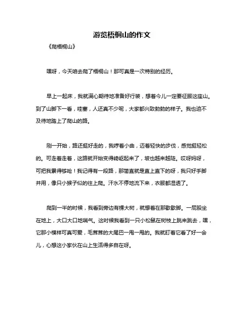 游览梧桐山的作文