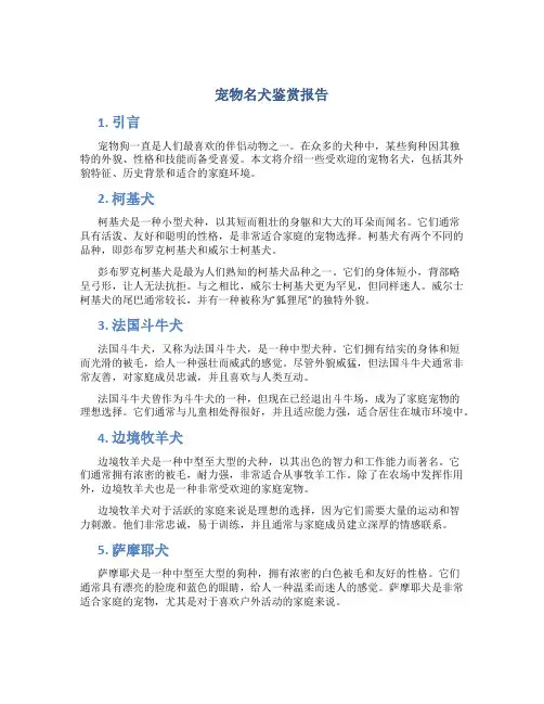 宠物名犬鉴赏报告