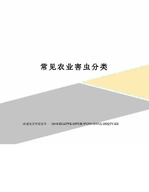 常见农业害虫分类