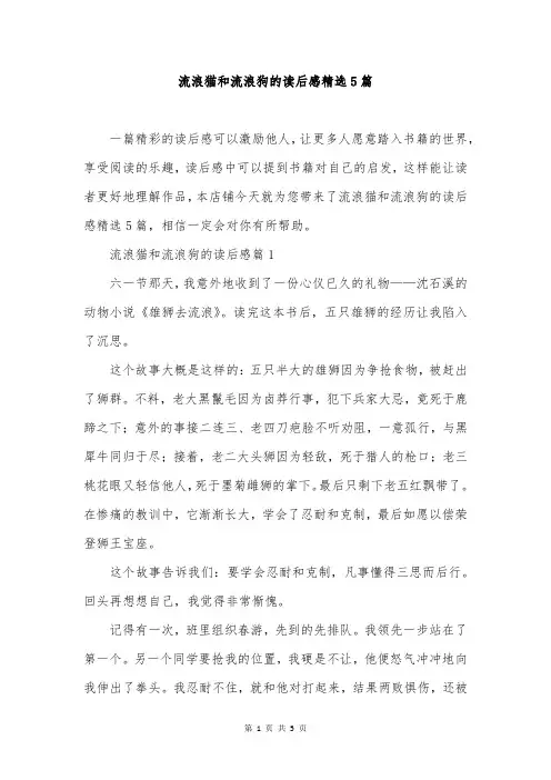 流浪猫和流浪狗的读后感精选5篇