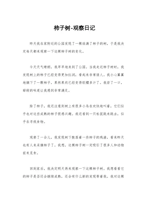 柿子树-观察日记