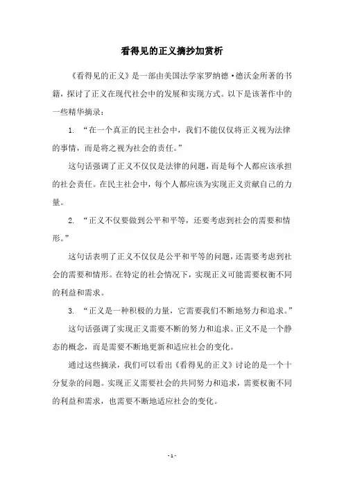 看得见的正义摘抄加赏析