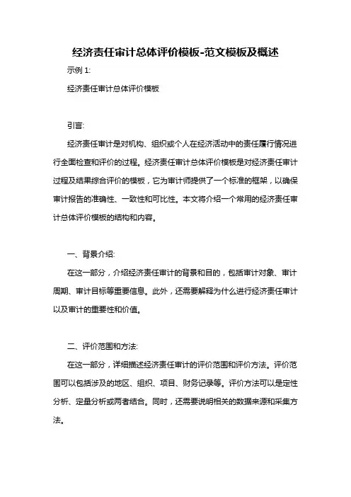 经济责任审计总体评价模板-概述说明以及解释
