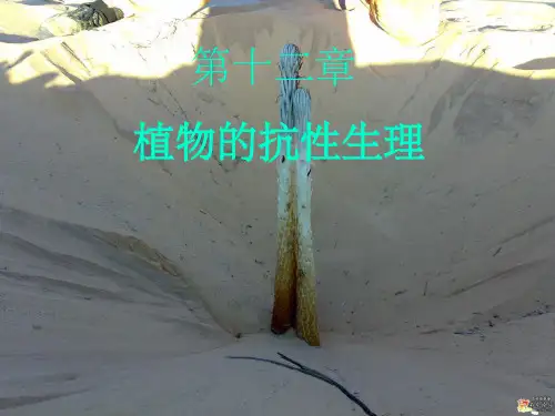 讲义植物的抗性生理