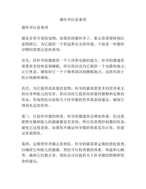 猫怀孕注意事项