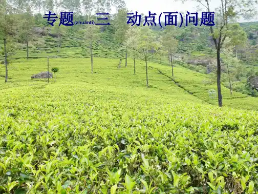 中考数学总复习 专题3 动点(面)问题课件