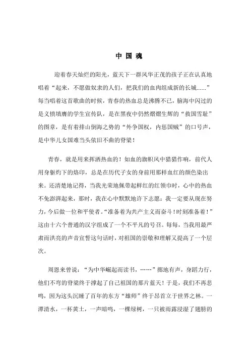 中国魂