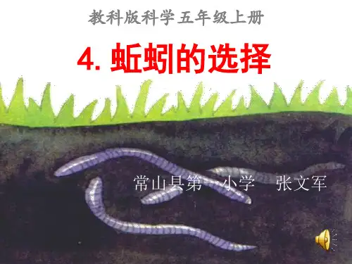 五上《蚯蚓的选择》