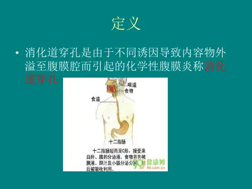 上消化道穿孔的护理PPT课件精选全文完整版