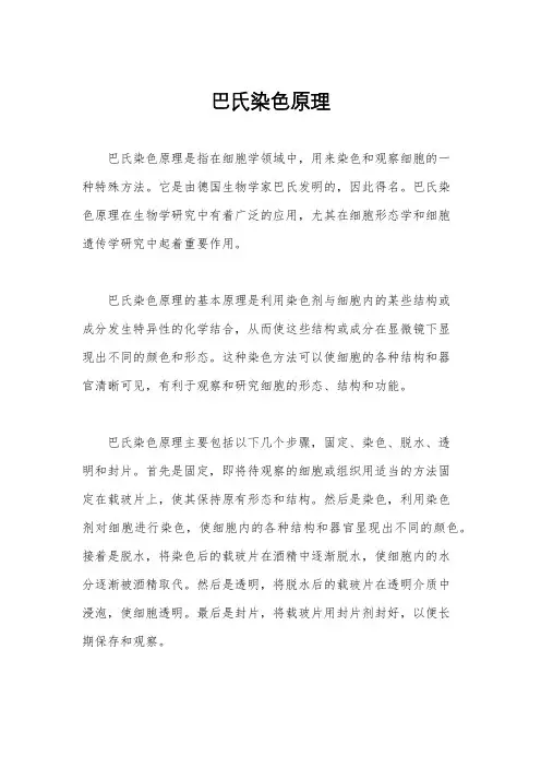 巴氏染色原理
