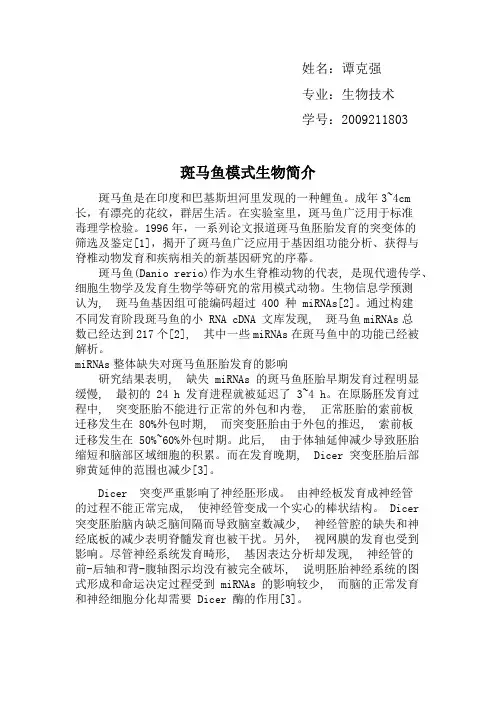 斑马鱼模式生物简介