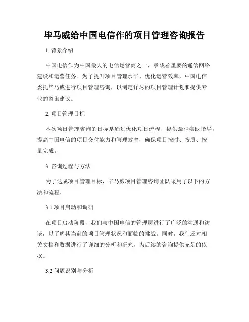 毕马威给中国电信作的项目管理咨询报告