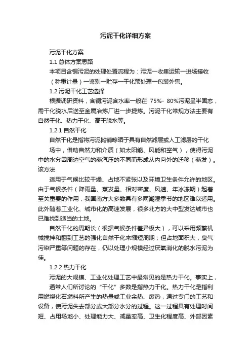 污泥干化详细方案