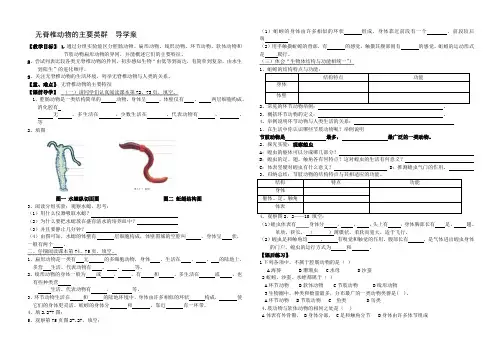 无脊椎动物的主要类群