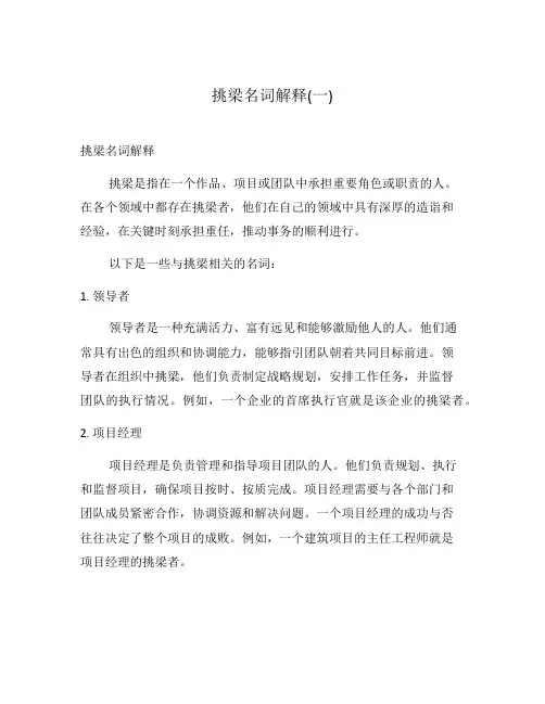 挑梁名词解释(一)