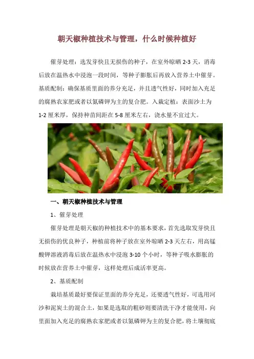 朝天椒种植技术与管理,什么时候种植好