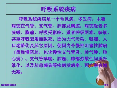 镇咳祛痰药专题宣讲