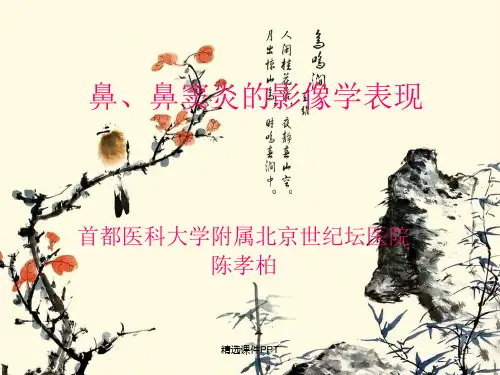 鼻、鼻窦炎的影像学表现ppt课件
