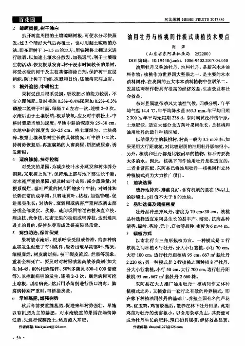油用牡丹与核桃间作模式栽植技术要点
