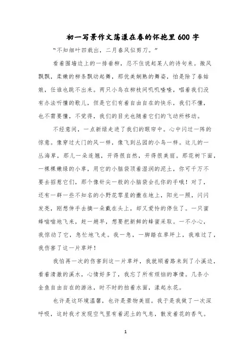 初一写景作文荡漾在春的怀抱里600字