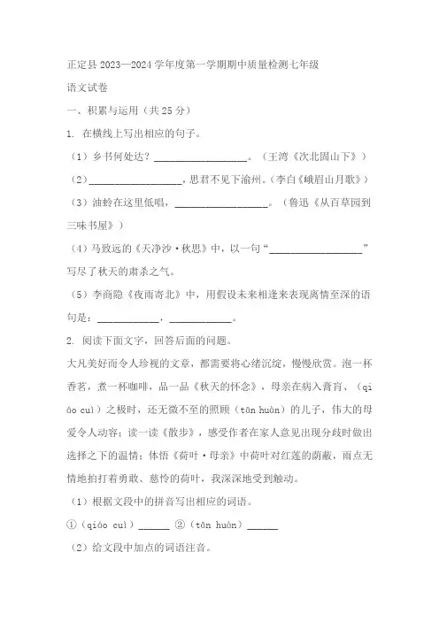 河北省石家庄市正定县2023-2024学年七年级上学期期中语文试题(原卷版+解析版)