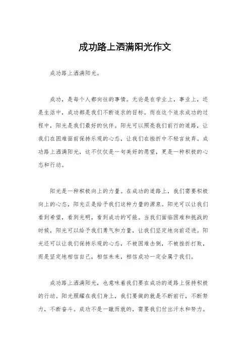 成功路上洒满阳光作文