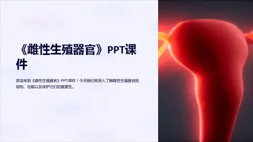《雌性生殖器官》课件