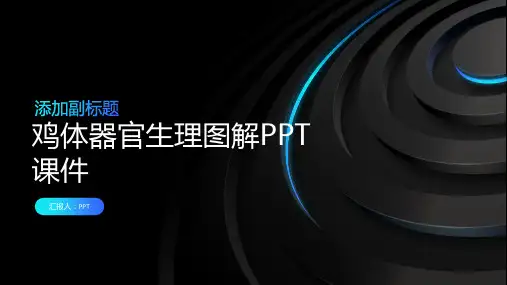 《鸡体器官生理图解》课件