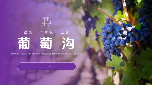 《葡萄沟》PPT精品课件