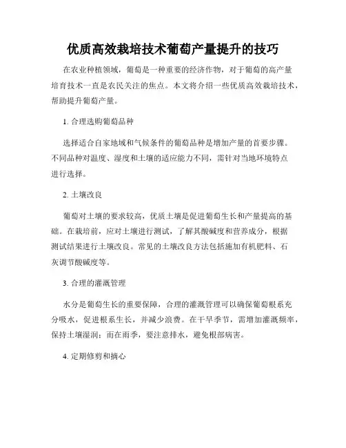 优质高效栽培技术葡萄产量提升的技巧
