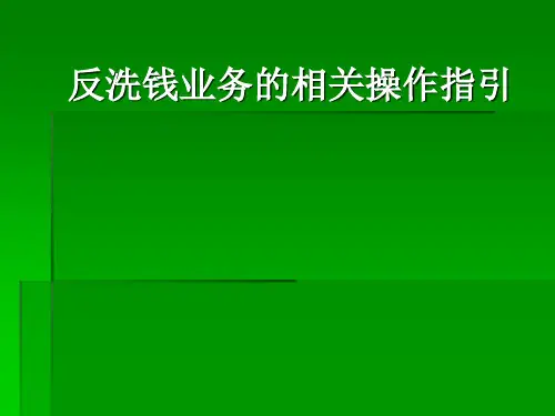 [学习]反洗钱业务相关操作指引