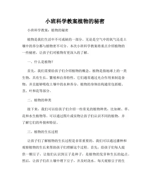 小班科学教案植物的秘密