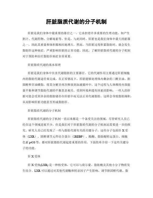 肝脏脂质代谢的分子机制