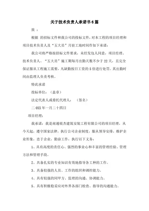 关于技术负责人承诺书6篇