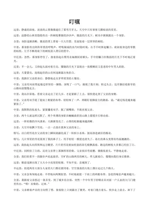 镜头化及分镜头剧本范例——《叮嘱》