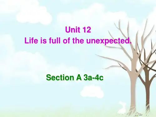 人教版英语九全Unit 12 Section A(3a-4c)(共37张PPT)