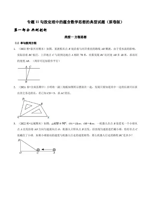 [数学]-专题11 勾股定理中的蕴含数学思想的典型试题(原版)