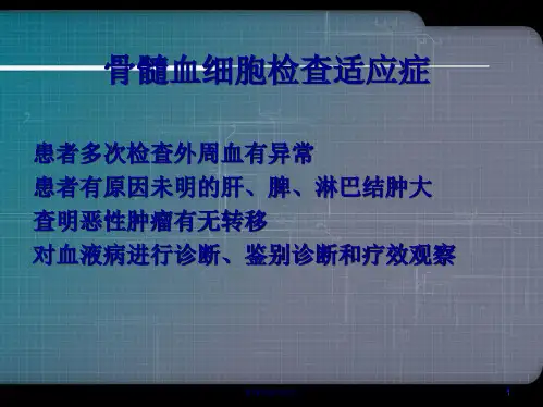 骨髓细胞形态学检查实验课