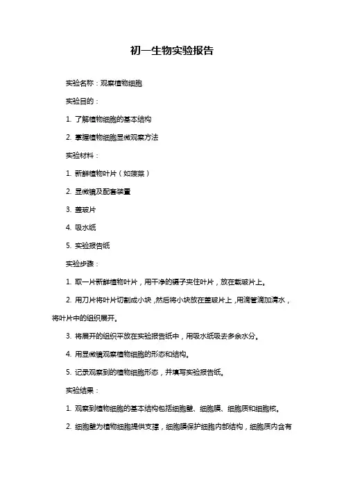 初一生物实验报告