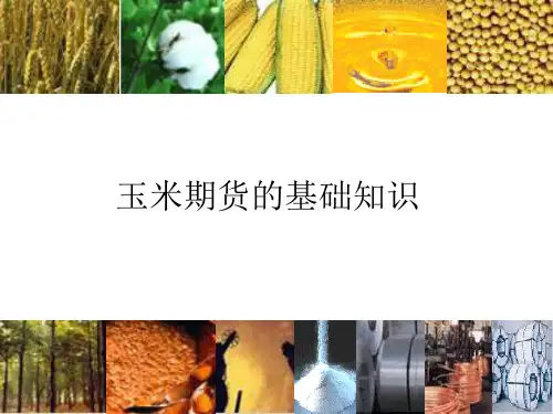 玉米期货的基础知识.ppt