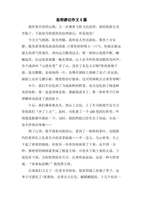 昆明游记作文5篇