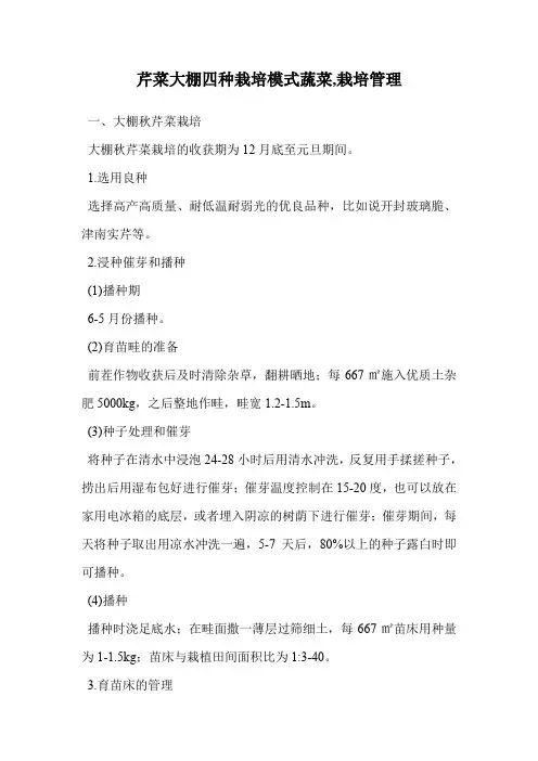 芹菜大棚四种栽培模式蔬菜(栽培管理)