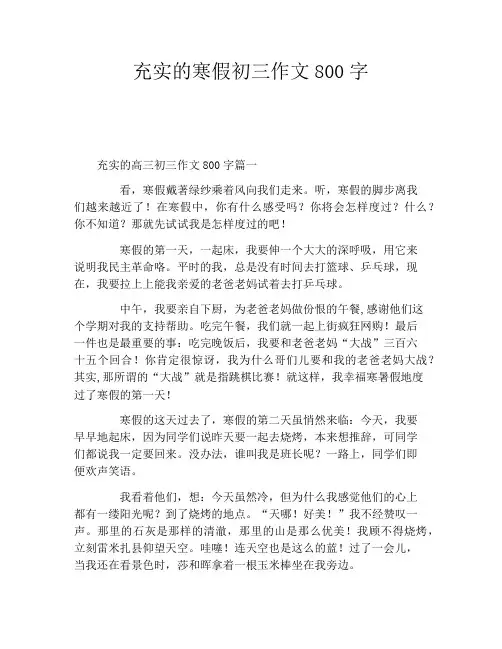 充实的寒假初三作文800字