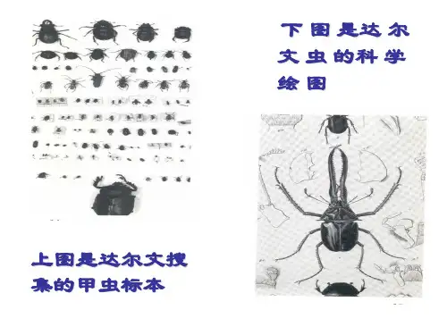 《物种起源》绪论