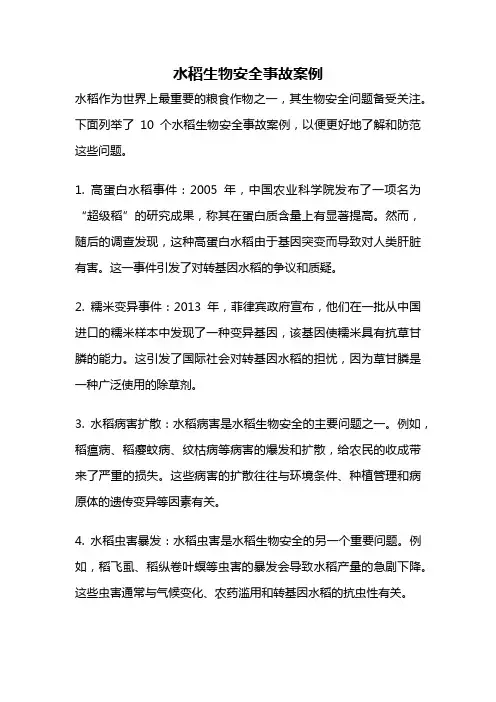水稻生物安全事故案例