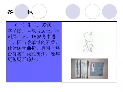 (一)生平苏轼
