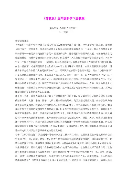 五年级科学下册 大脑5教案 苏教版